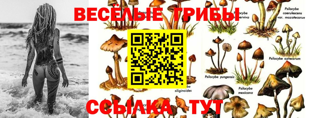 Галлюциногенные грибы прущие грибы Кувандык