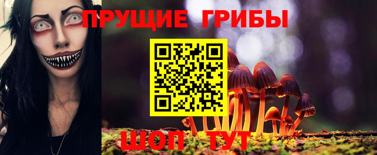 Галлюциногенные грибы MAGIC MUSHROOMS  Галлюциногенные грибы Cubensis  магазин    Вход с VPN  Кувандык 